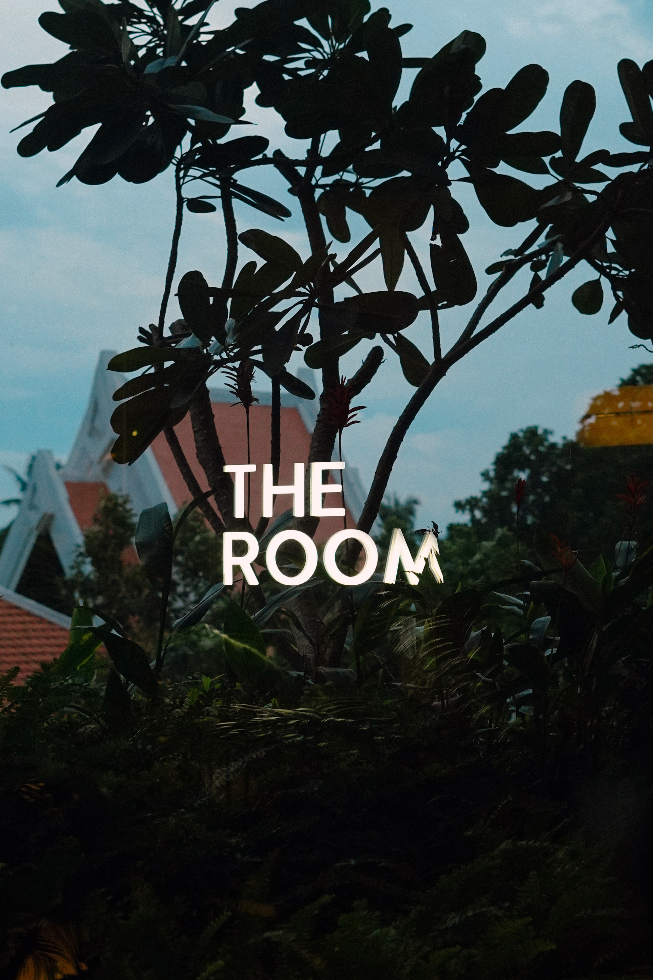 Film Screening Pilot banner